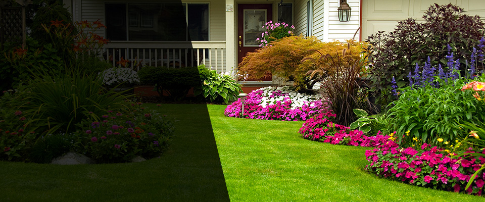 Center City Landscapers