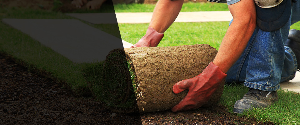 Center City Landscapers